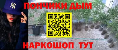 spice Коммунар
