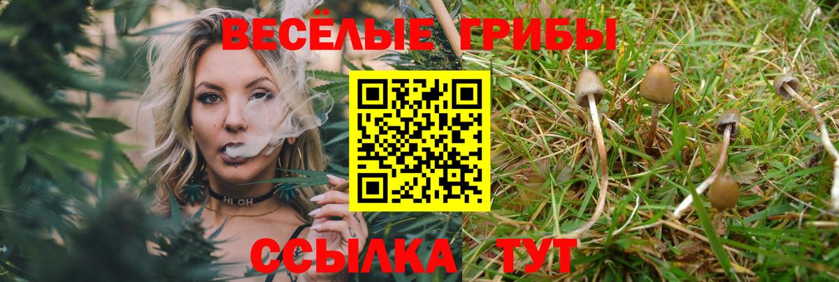 Азов  Галлюциногенные грибы мицелий  Вход с VPN 